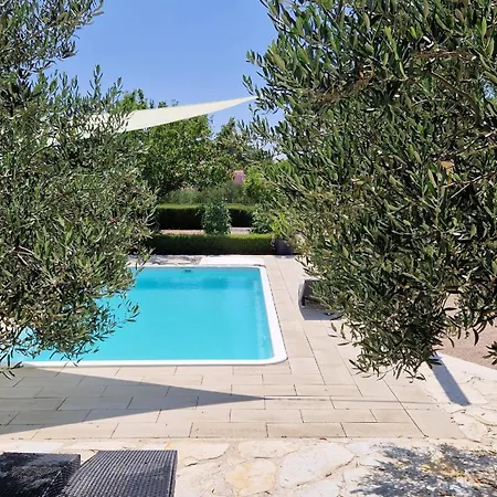 Apartament Petrović *