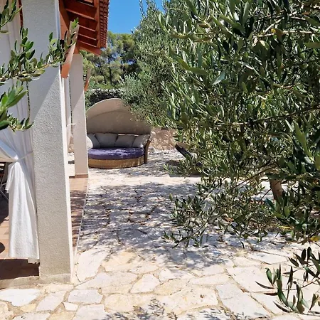 Petrović * Szybenik