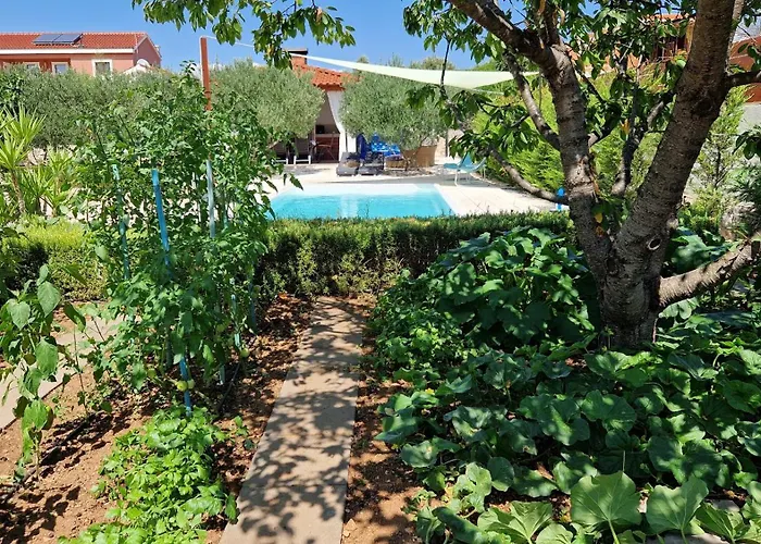 Petrović Apartament