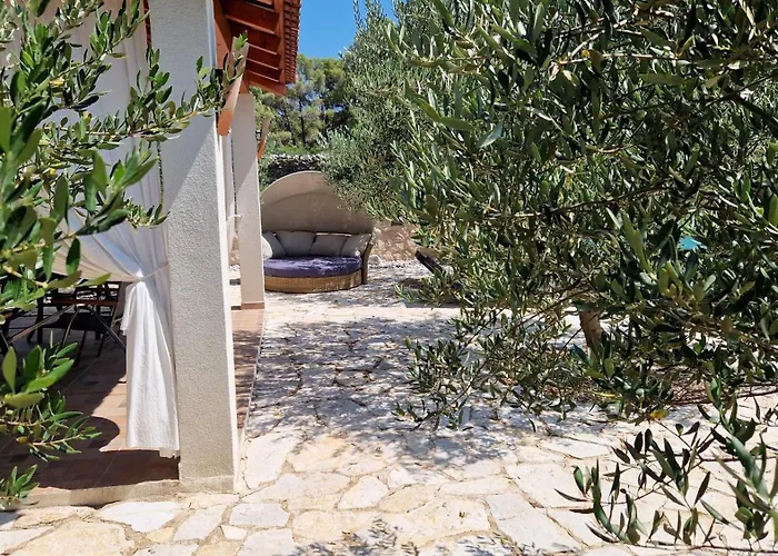 Petrovic * 시베니크