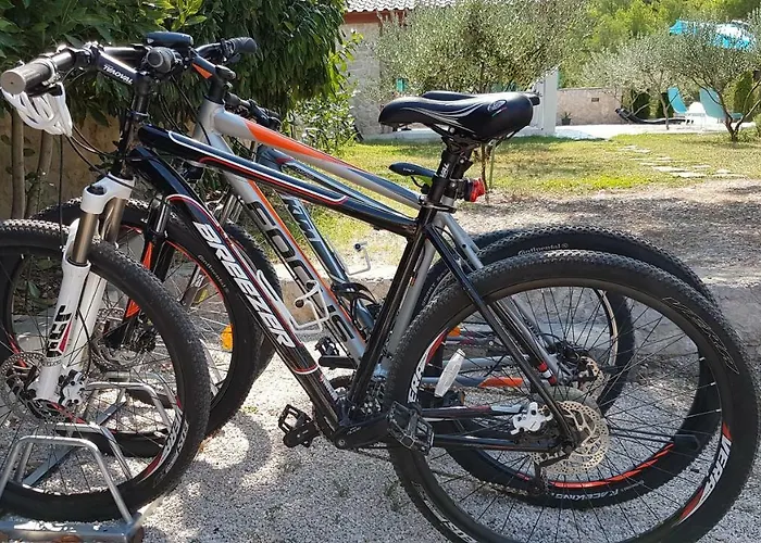 Petrović * Szybenik