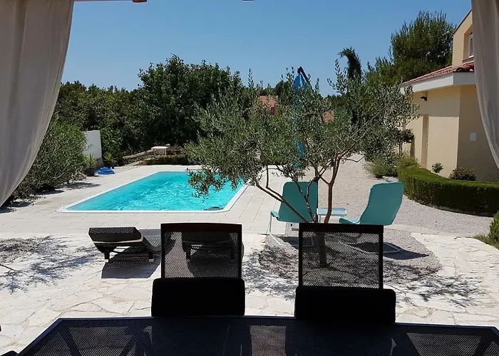 Petrovic * 시베니크